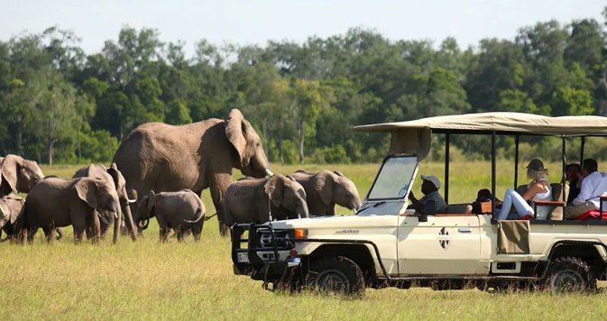 Family Game Drive Safari Adventure