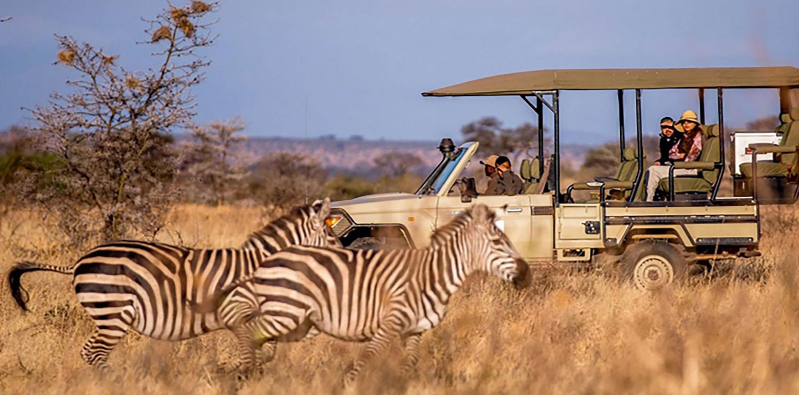 Game Drive in Chobe National Park