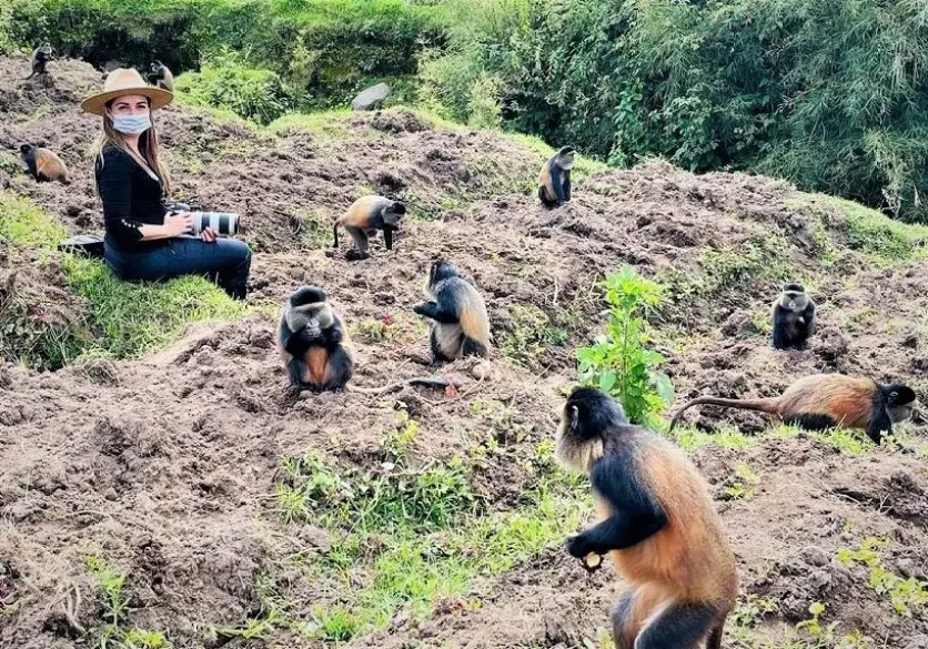 Golden Monkey Trekking in Rwanda