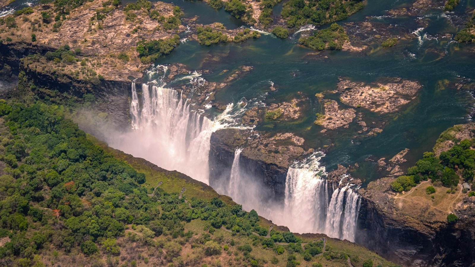 Gorilla Trekking from Victoria Falls