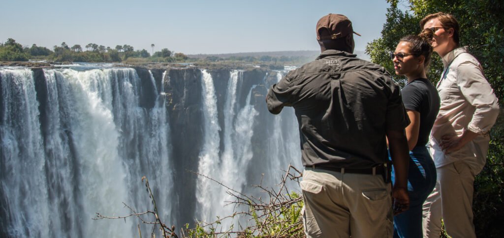 Professional Safari Guide