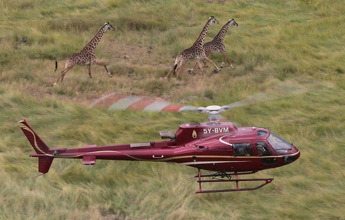 Helicopter scenic flight