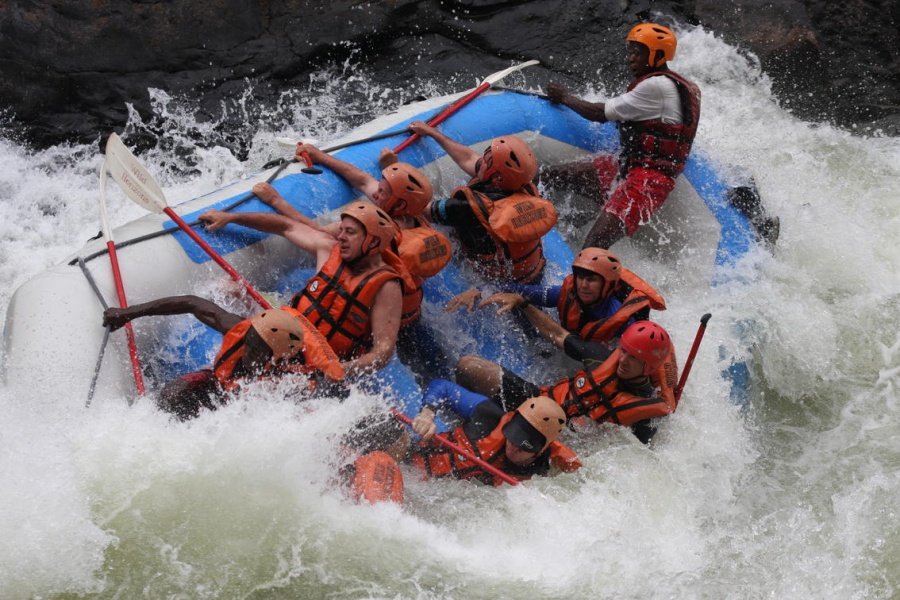 Premium Victoria Falls Safari Experiences