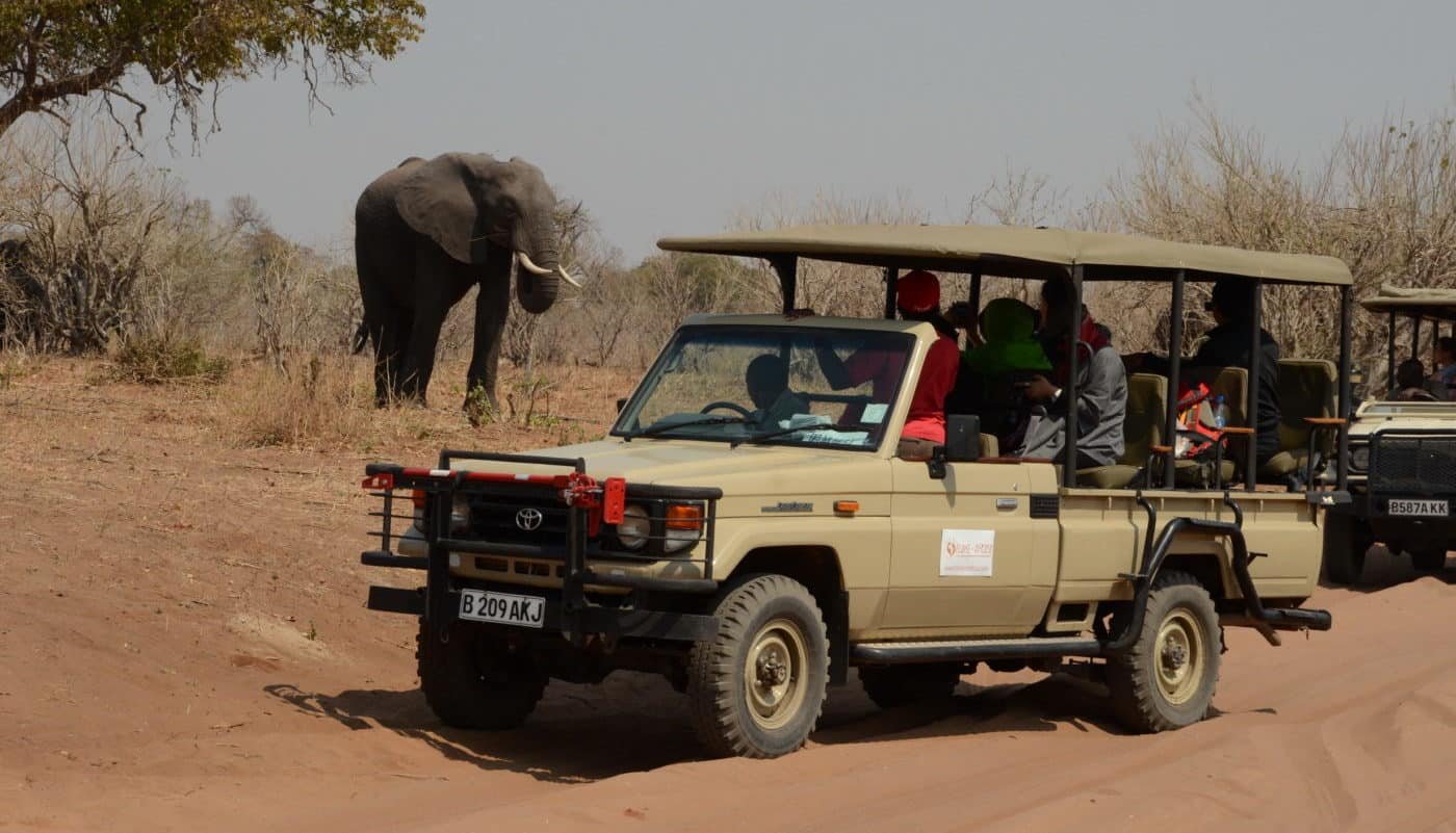 Luxury Game Drive in Chobe National Park