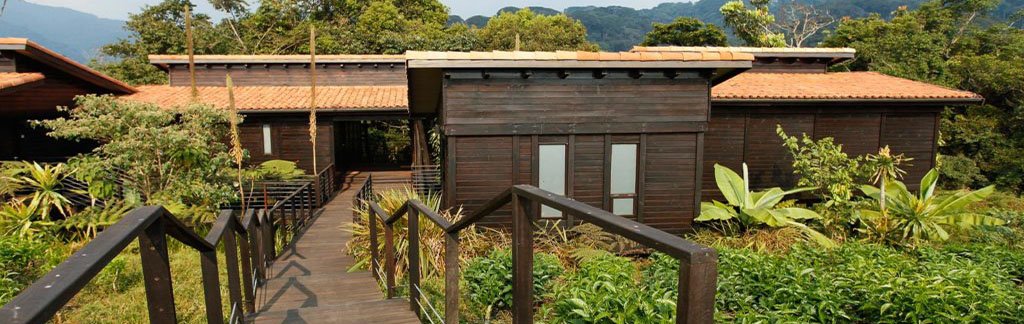 Nyungwe Forest Luxury Lodges