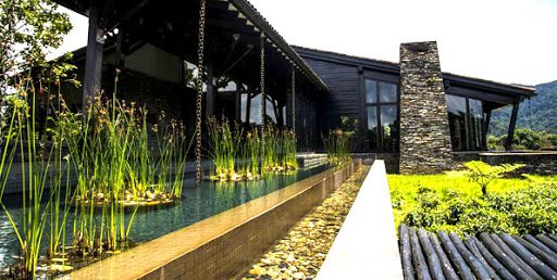 Luxury Lodges in Nyungwe Forest National Park