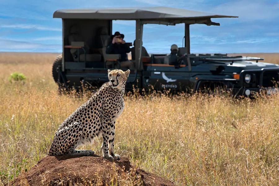 Upscale multi‑country African safari experience