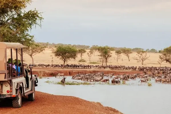 Luxury multi‑country African safari highlights