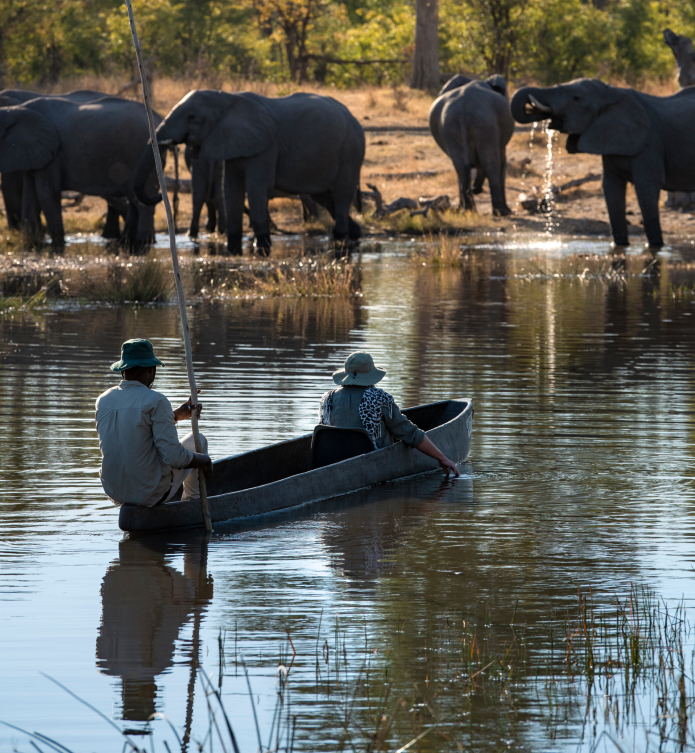 Traditional Mokoro Okavango Experience