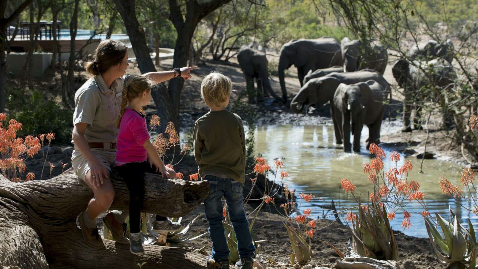 Multi‑country safari destination