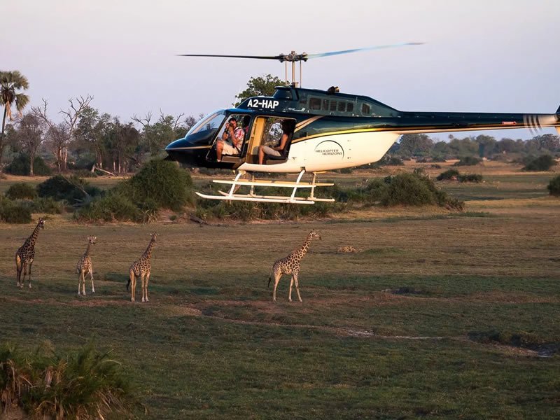 Luxury helicopter safari experience