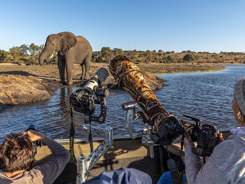 Professional Safari Photography