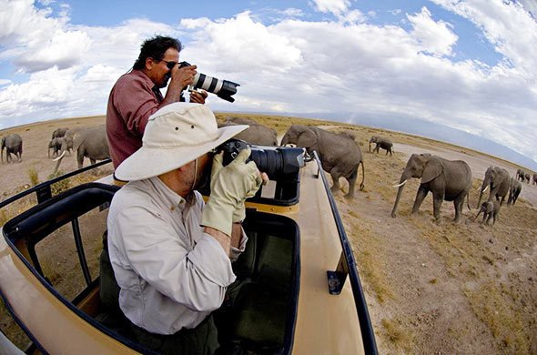 Photography Opportunities Serengeti Safari