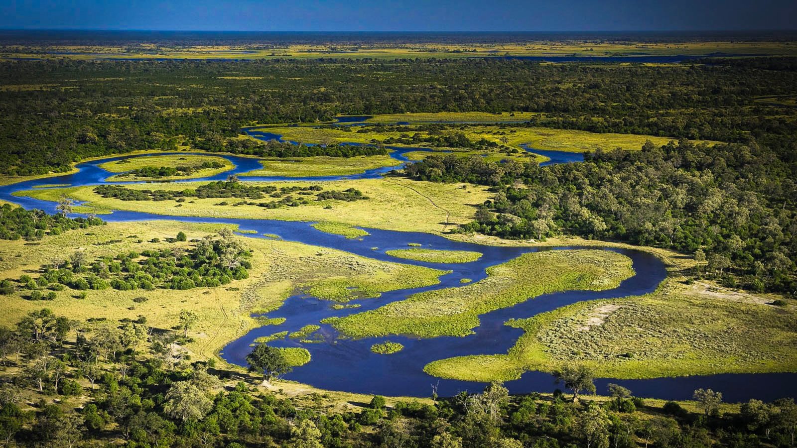 Photography opportunities in the Okavango Delta