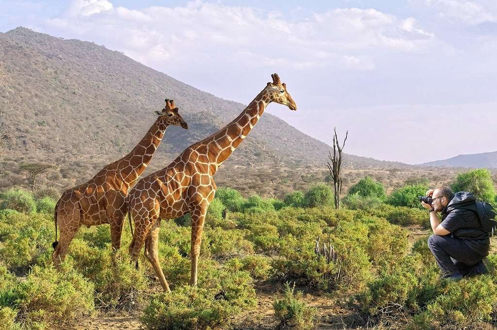Photography opportunities on luxury multi‑country African safaris