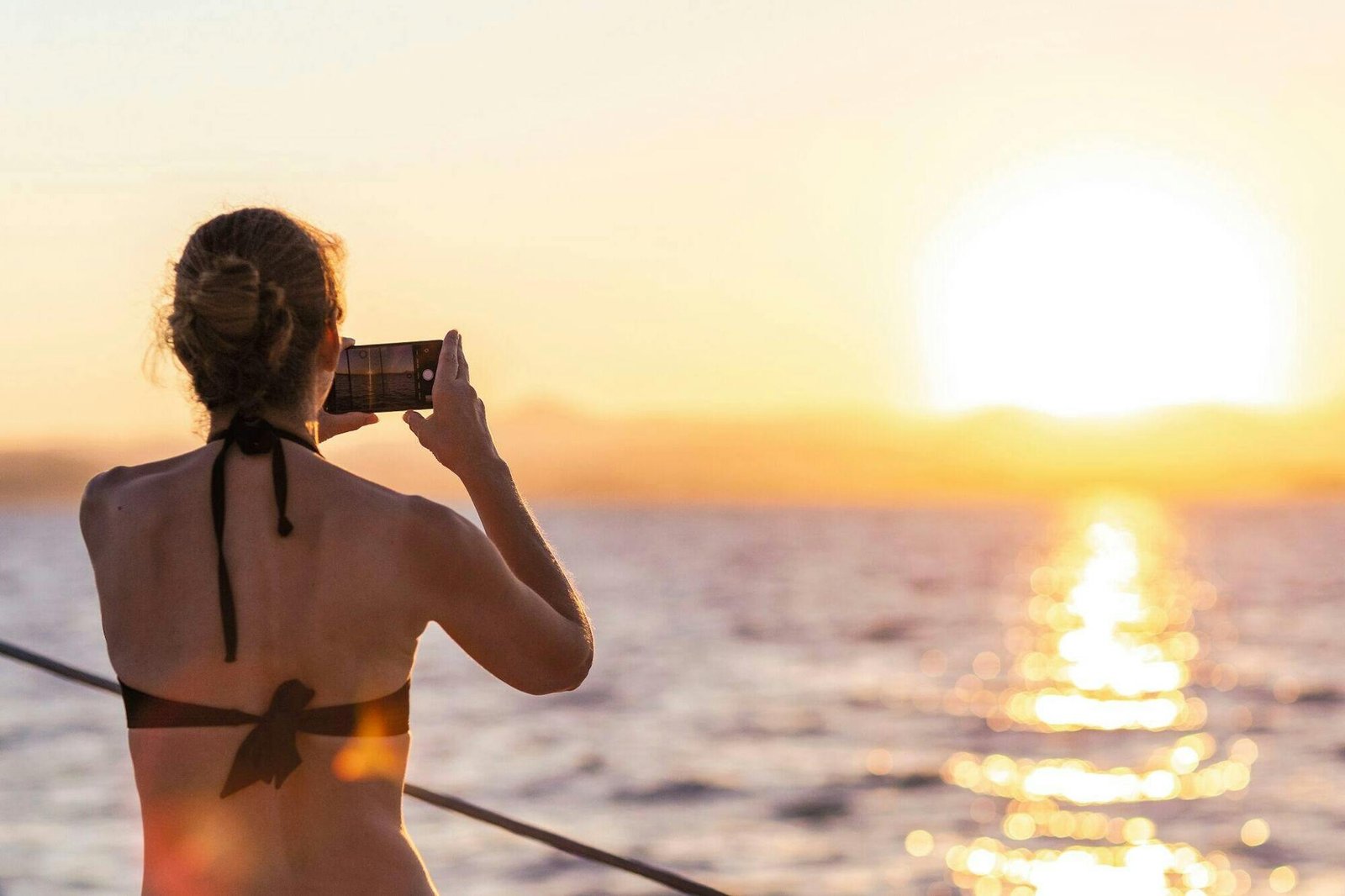 Sunset Cruise Photography Wildlife Experience