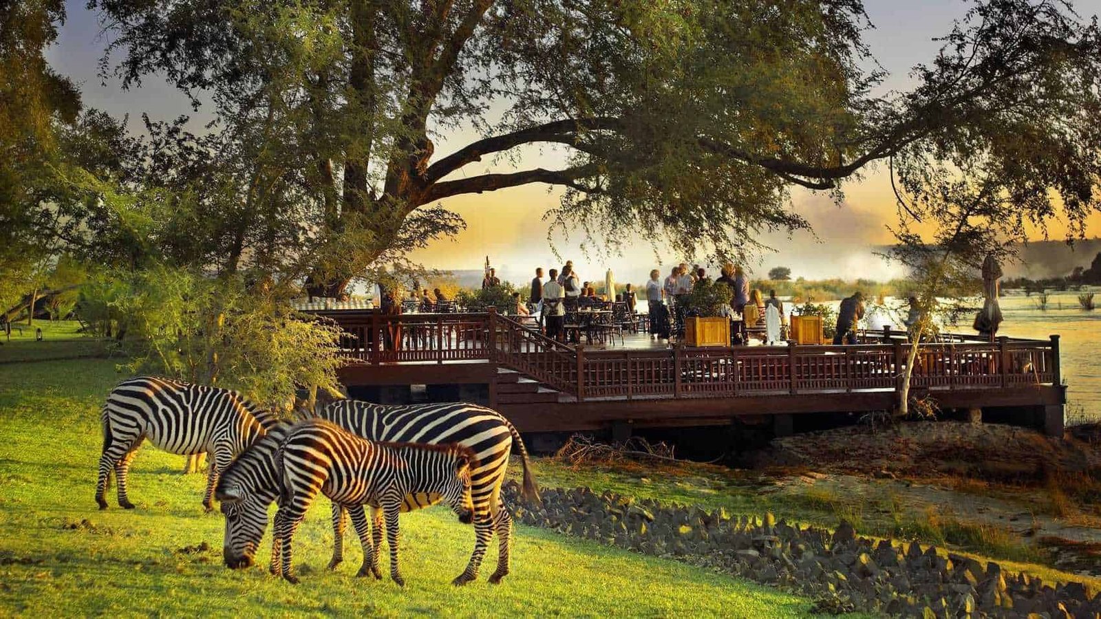 Photography Opportunities on a Luxury Victoria Falls and Serengeti Safari