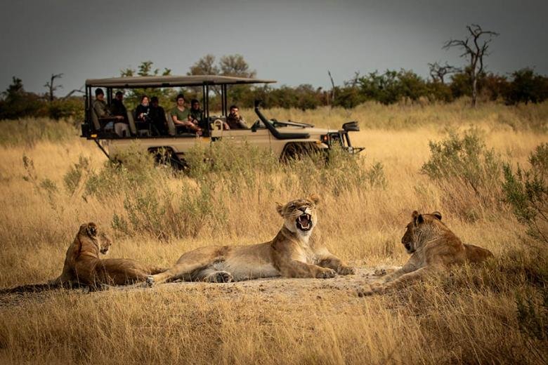 Photography Opportunities on a Victoria Falls and Okavango Delta Safari