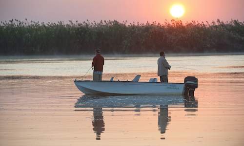 Private Sunset Cruise on the Zambezi River