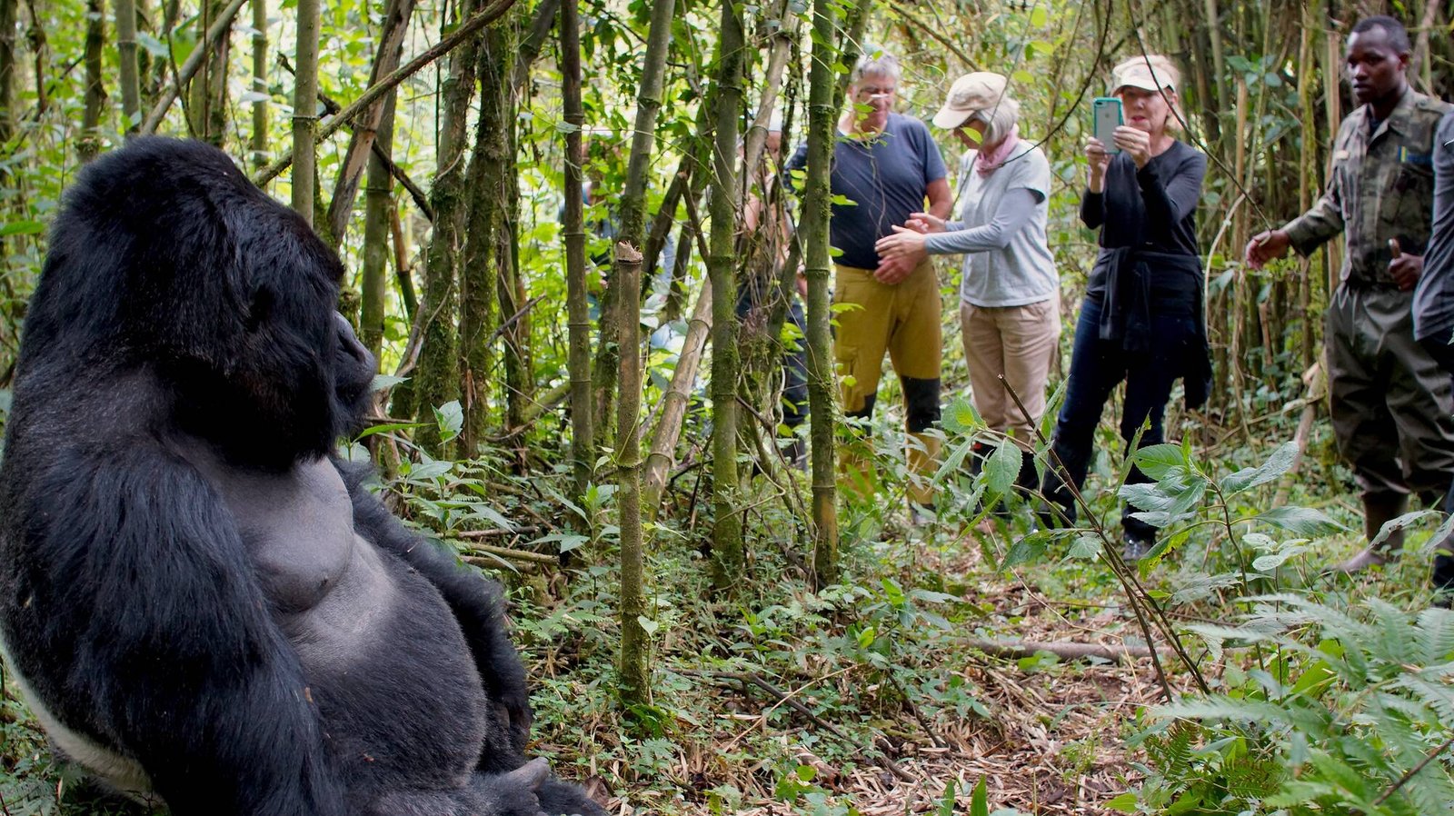 Rwanda Gorilla Trekking Adventure