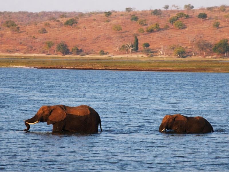 Victoria Falls Seasonal Changes Experience