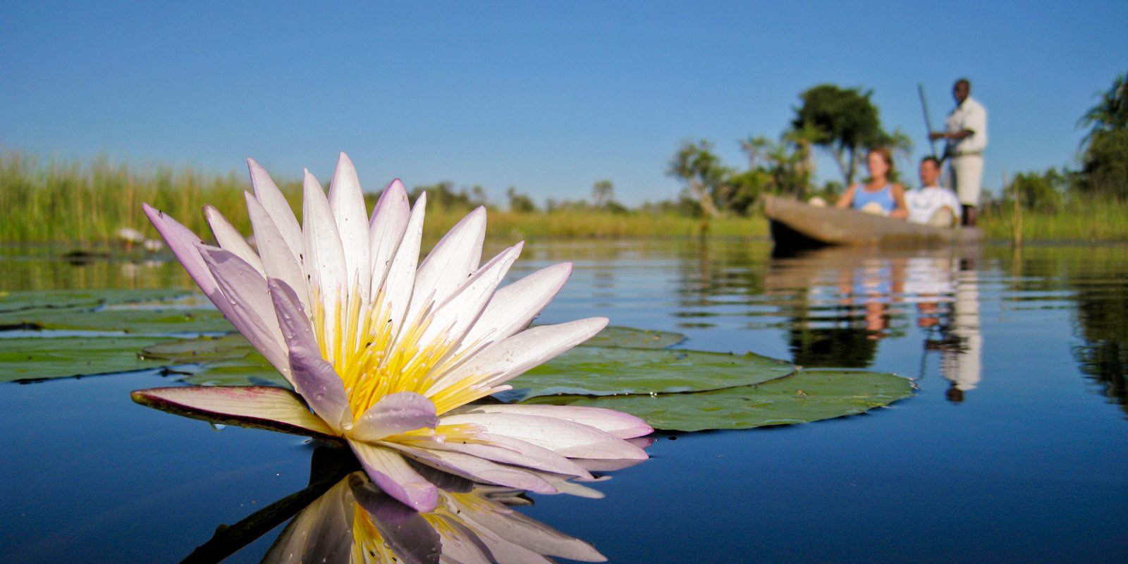 The Signature Okavango Experience