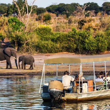 Victoria Falls & Savute Safari