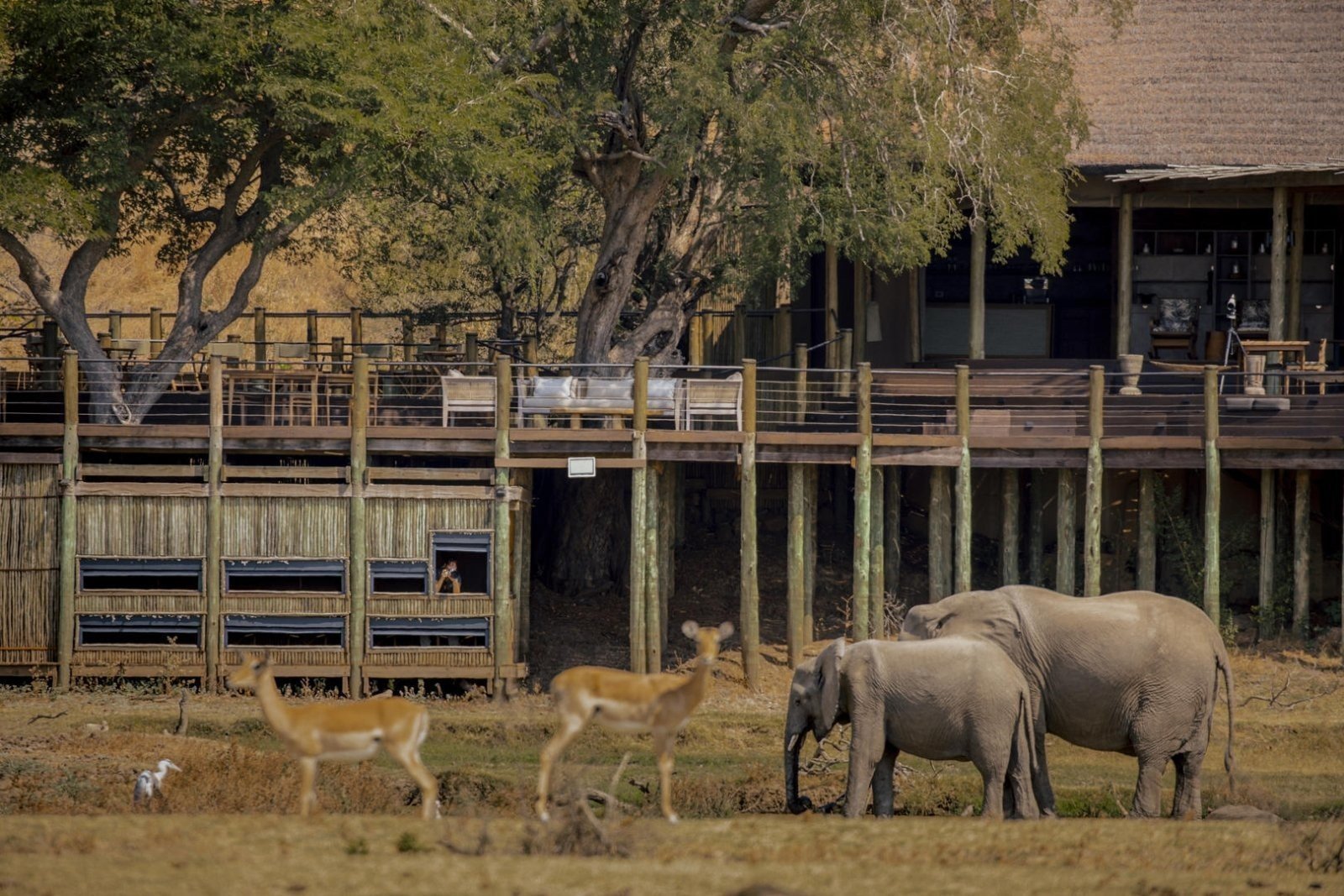Victoria Falls and Savute Safari 1