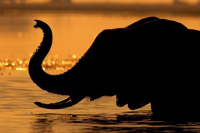 Victoria Falls and Chobe Sunset Cruise Safari