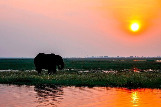 Chobe Sunset Cruise Wildlife Sightings