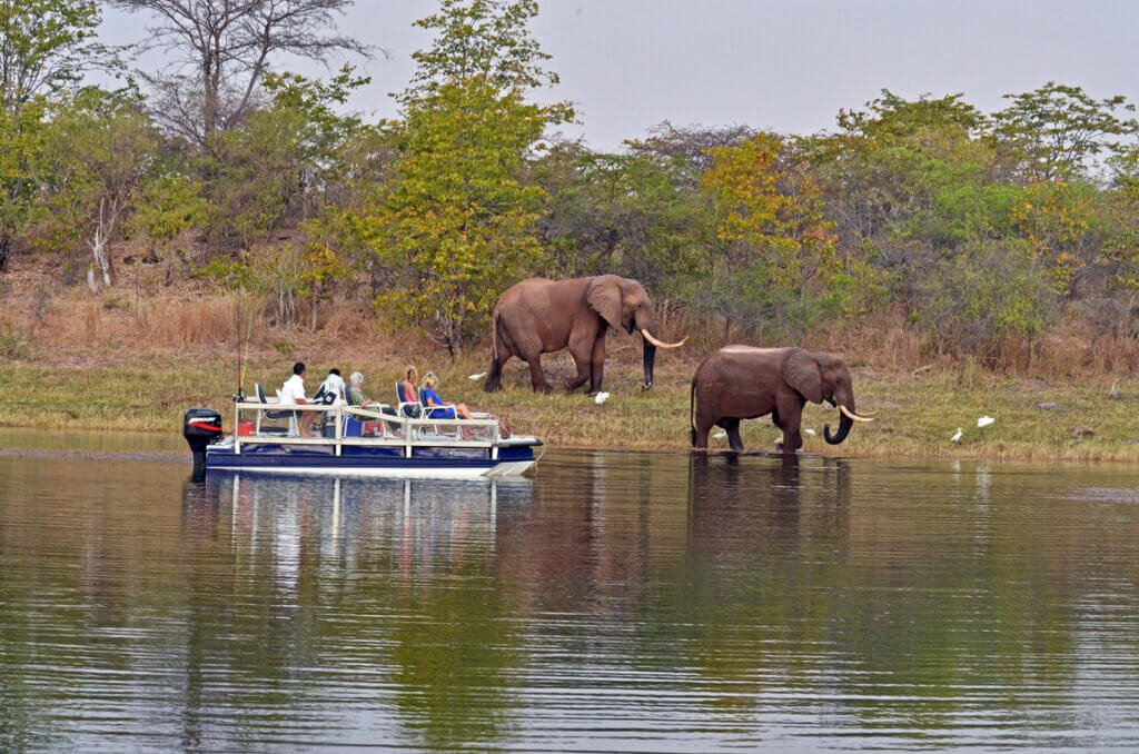 Family-Friendly Zambezi River Safari Cruise