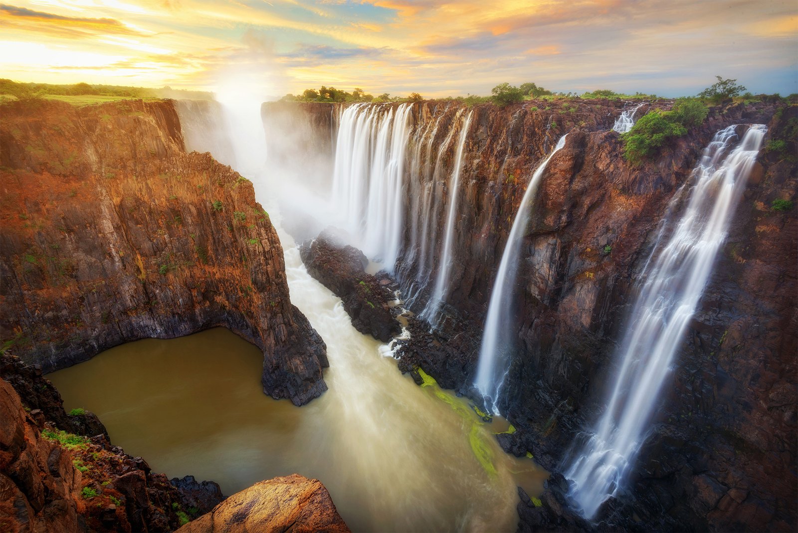 Booking migration safari experience