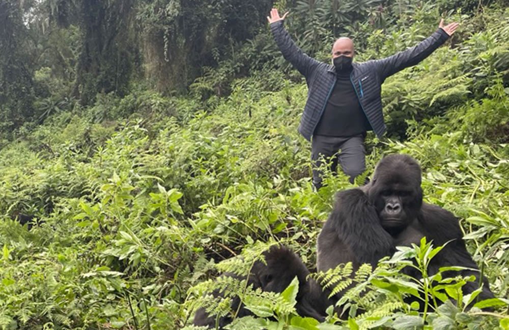 Perfect Rwanda Gorilla Trekking Safari