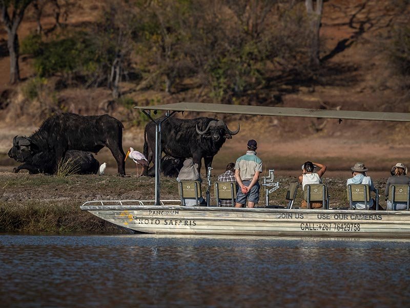 Photography Safari Experience
