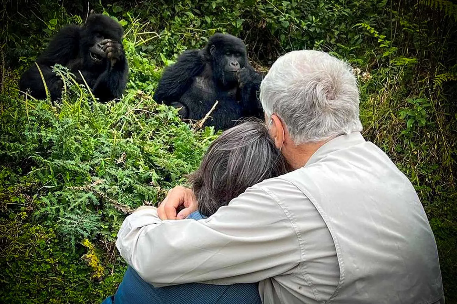 Rwanda Gorilla Trekking